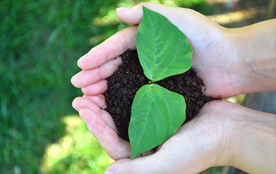 GCGC黄金城集团-官网