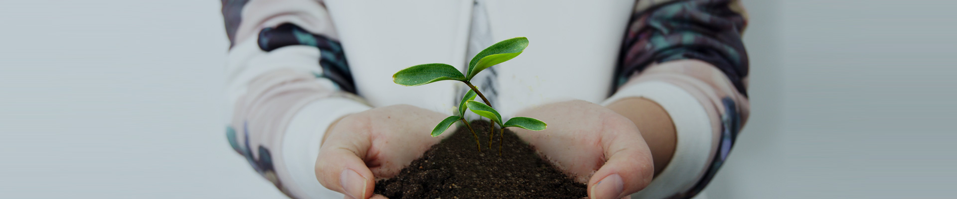 关于gcgc黄金城官网