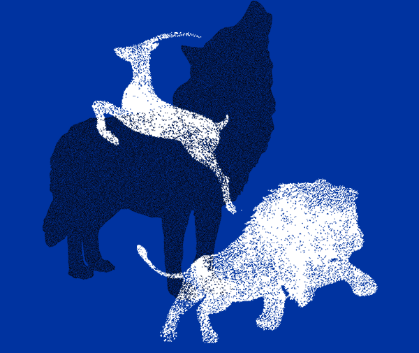 GCGC黄金城集团-官网